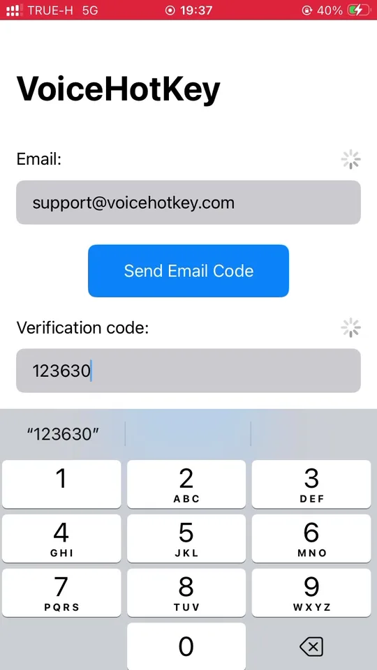 Введён код подтверждения, кнопка Log in