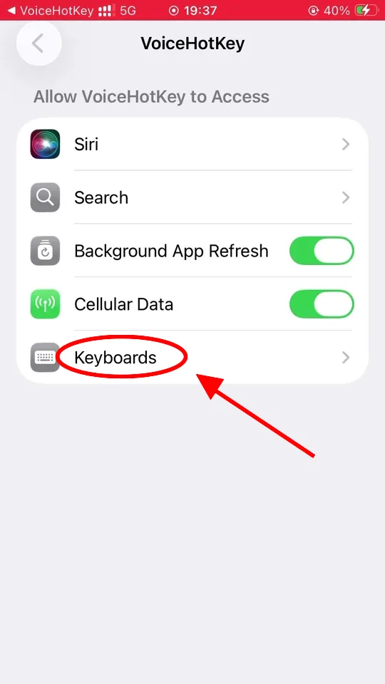 Настройки iOS с экраном доступа VoiceHotKey